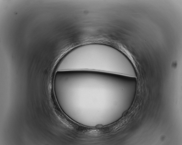 X0000098080059200804040801