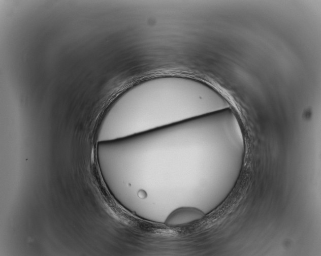 X0000098080061200804040801