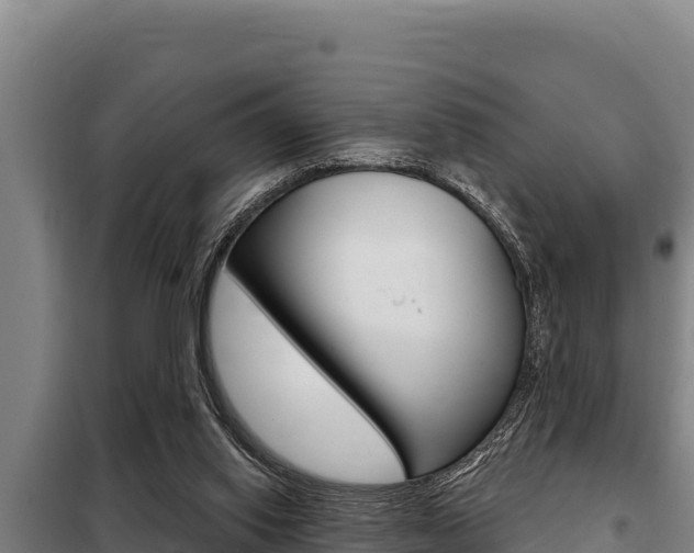 X0000098080062200804040801