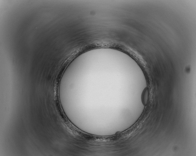 X0000098080065200804040801