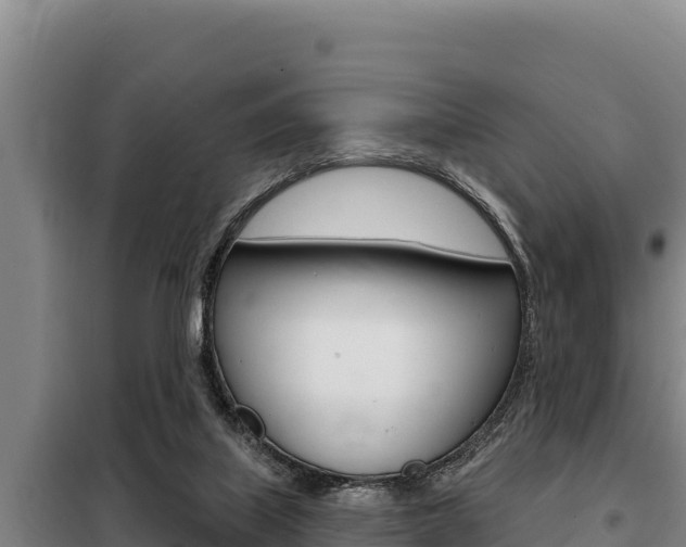 X0000098080067200804040801