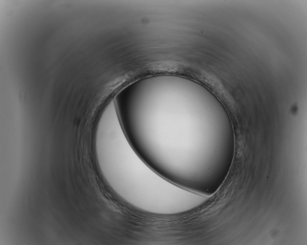 X0000098080068200804040801