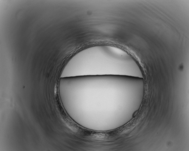 X0000098080069200804040801