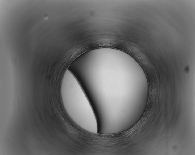 X0000098080070200804040801
