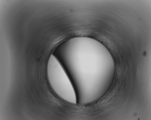 X0000098080071200804040801