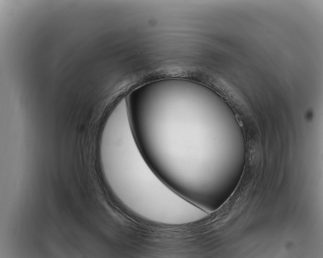 X0000098080072200804040801