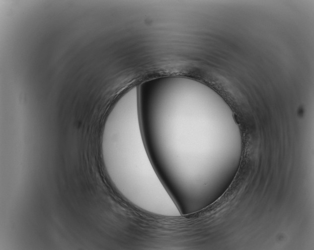 X0000098080076200804040801