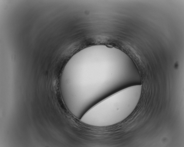 X0000098080079200804040801