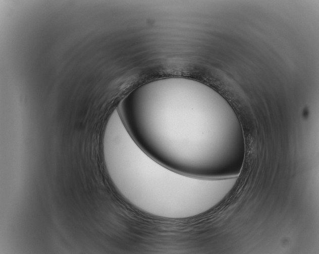 X0000098080080200804040801