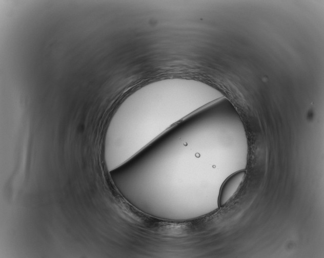 X0000098080081200804040801