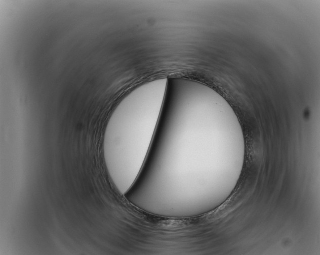 X0000098080082200804040801