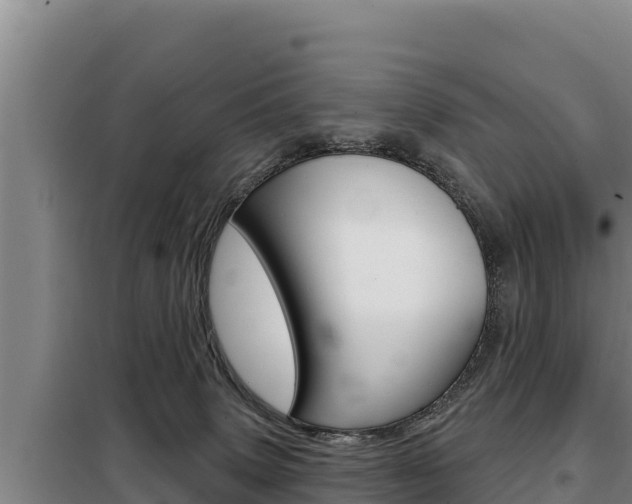 X0000098080083200804040801