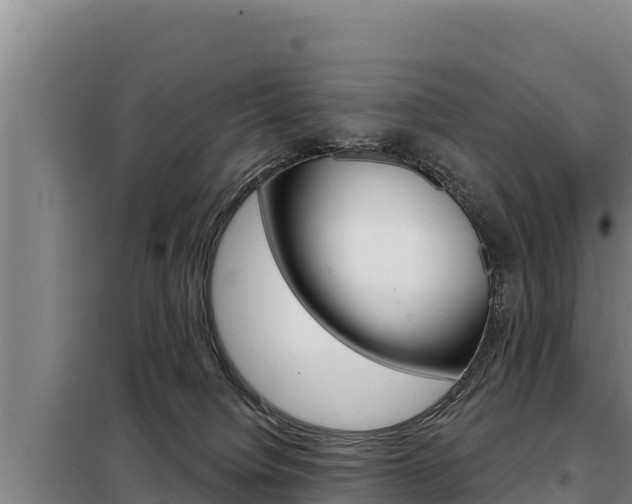 X0000098080084200804040801