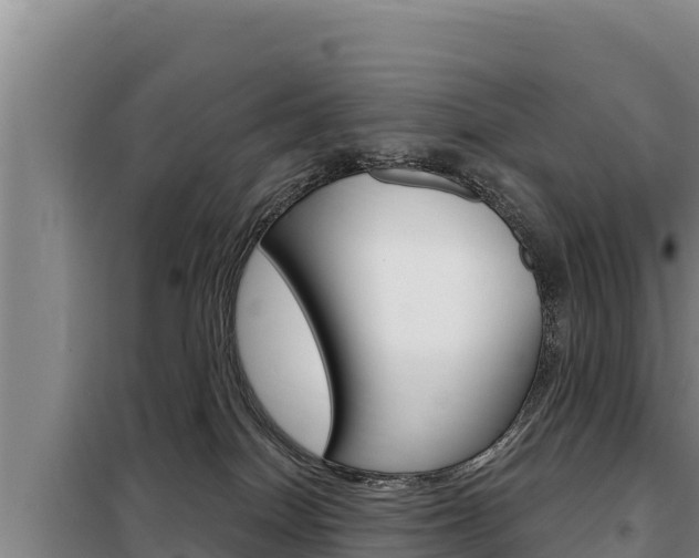 X0000098080086200804040801