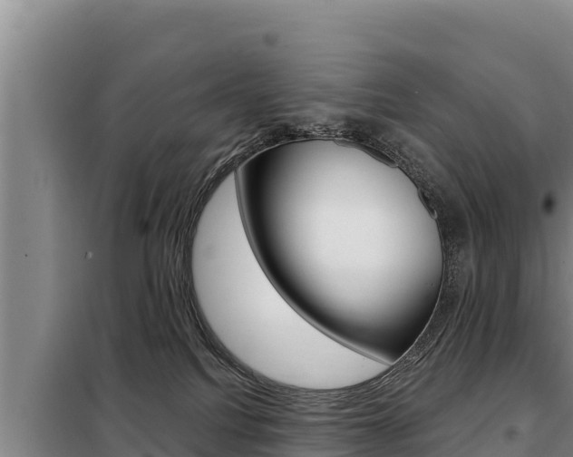 X0000098080088200804040801