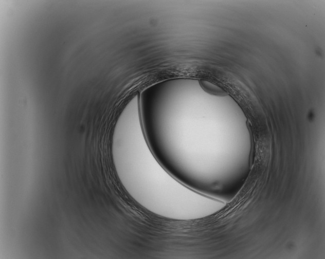 X0000098080092200804040802