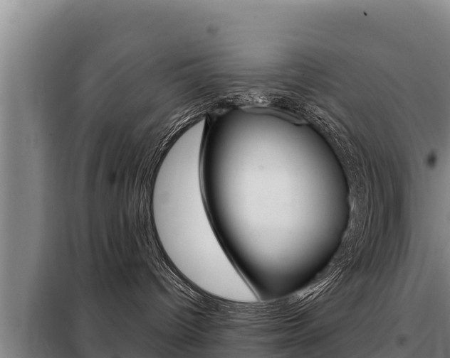 X0000098080096200804040802