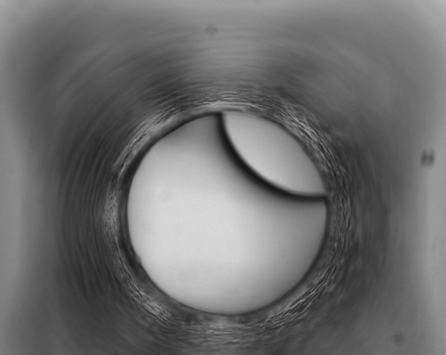 X0000098080098200804040801