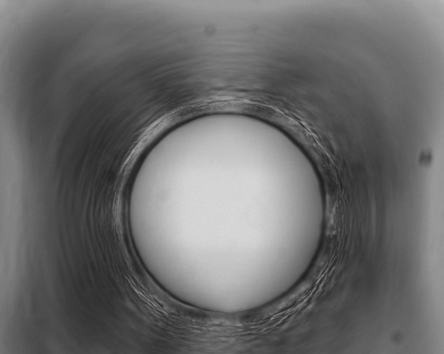 X0000098080099200804040801