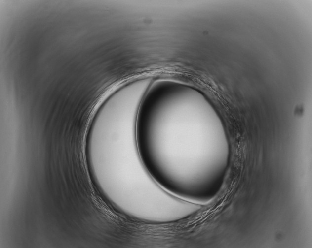 X0000098080100200804040801