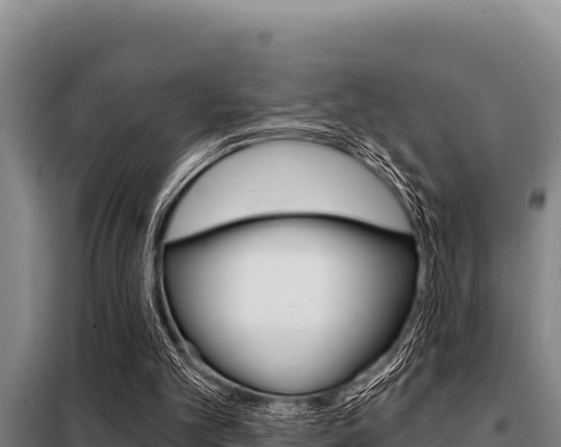 X0000098080101200804040801
