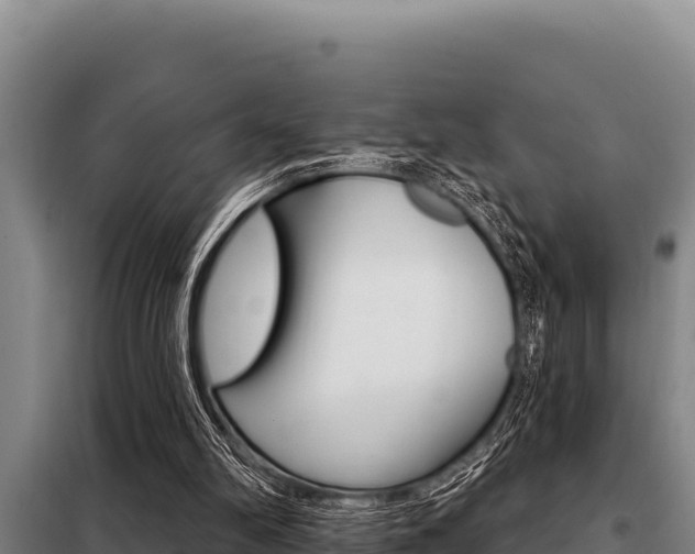 X0000098080102200804040801