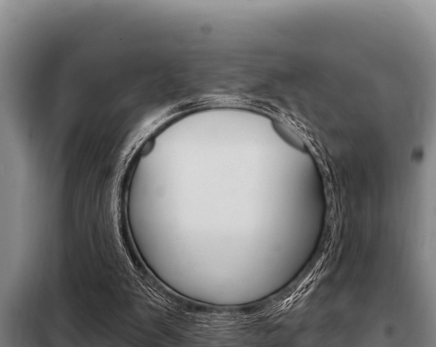 X0000098080103200804040801