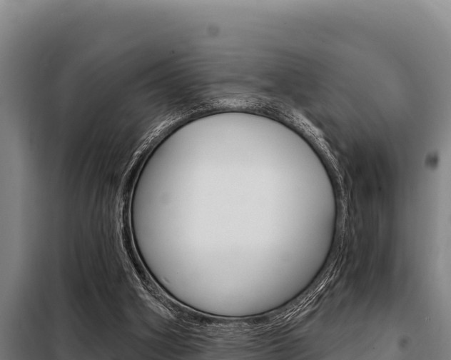 X0000098080106200804040800
