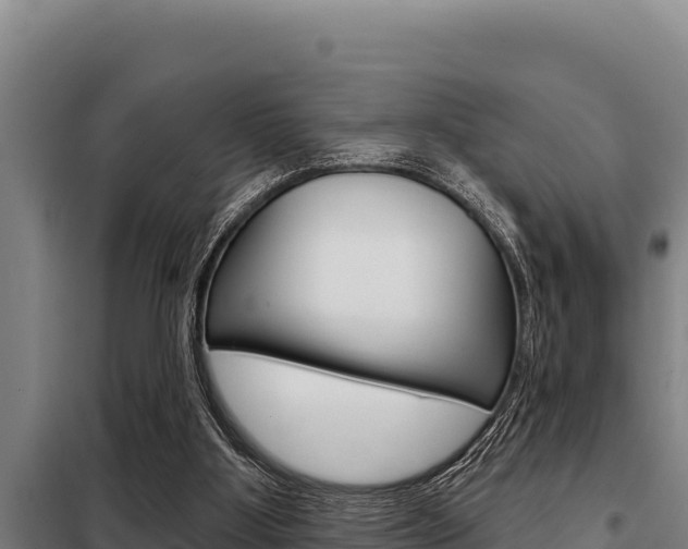 X0000098080107200804040800