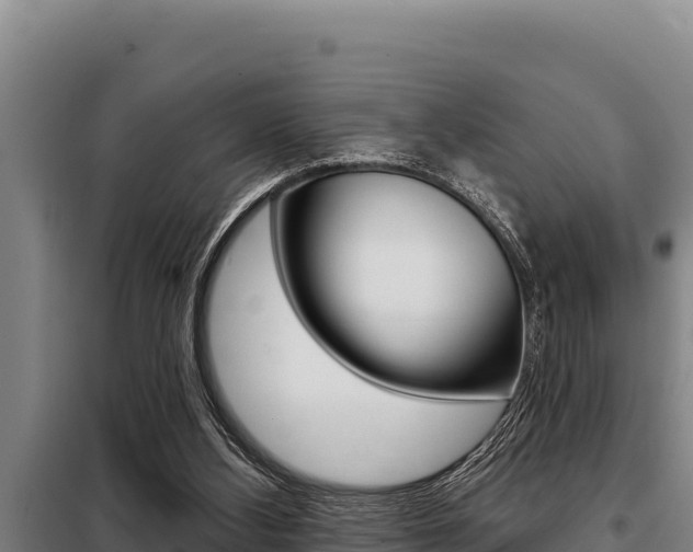 X0000098080108200804040800