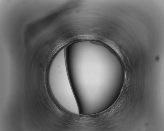 X0000098080109200804040800