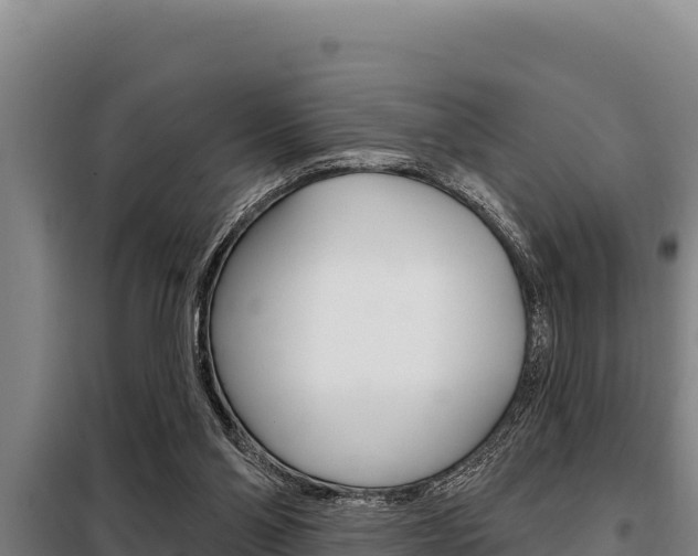X0000098080110200804040800