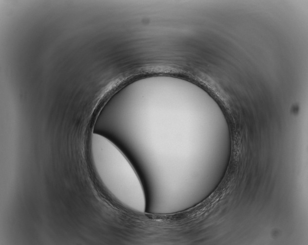 X0000098080111200804040800