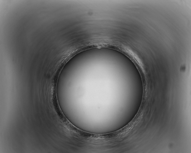 X0000098080113200804040800