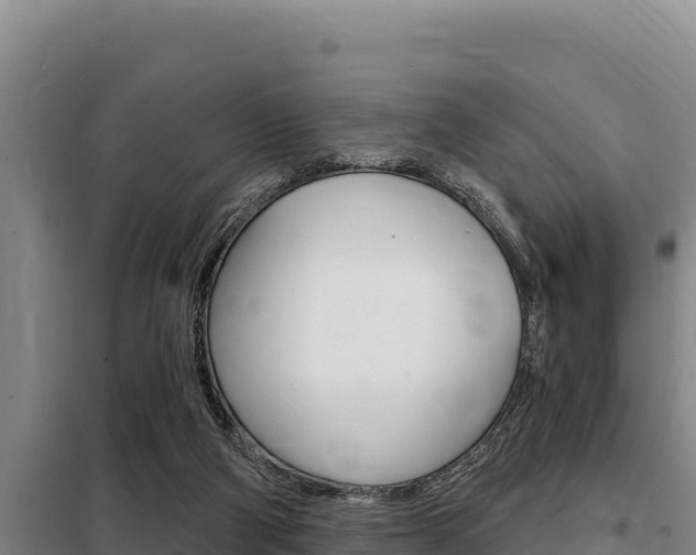X0000098080114200804040800