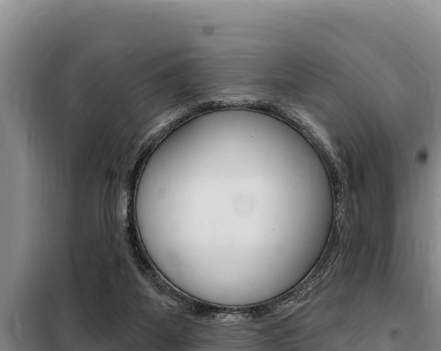 X0000098080115200804040800