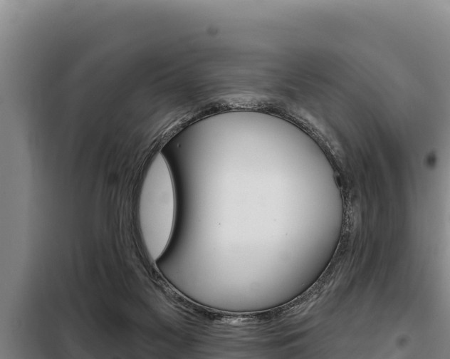 X0000098080117200804040800