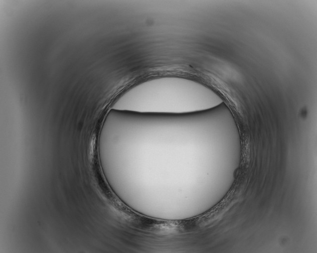 X0000098080118200804040800