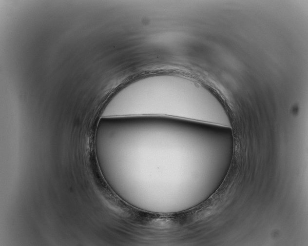 X0000098080119200804040800