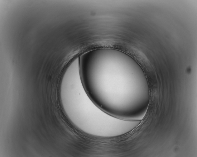 X0000098080120200804040800