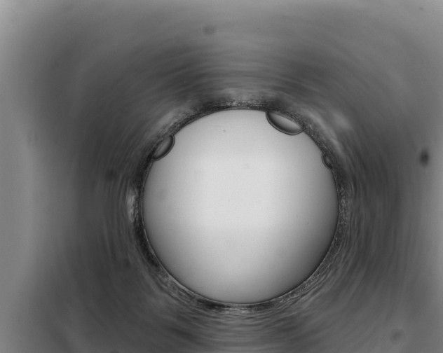X0000098080123200804040800
