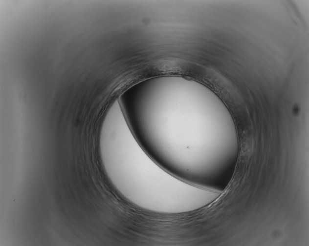 X0000098080124200804040800