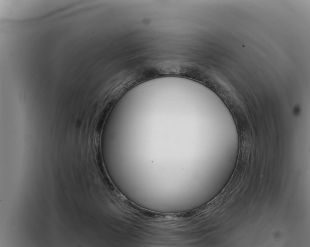 X0000098080125200804040800
