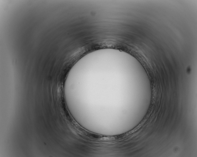 X0000098080126200804040800