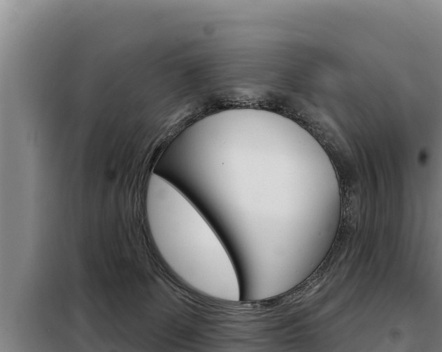 X0000098080131200804040800