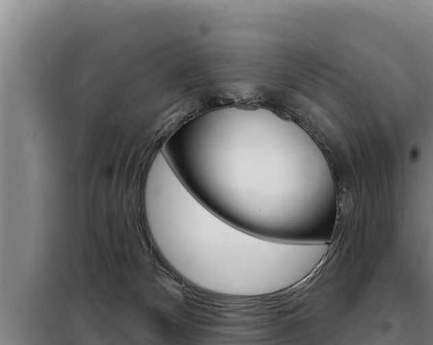 X0000098080132200804040800