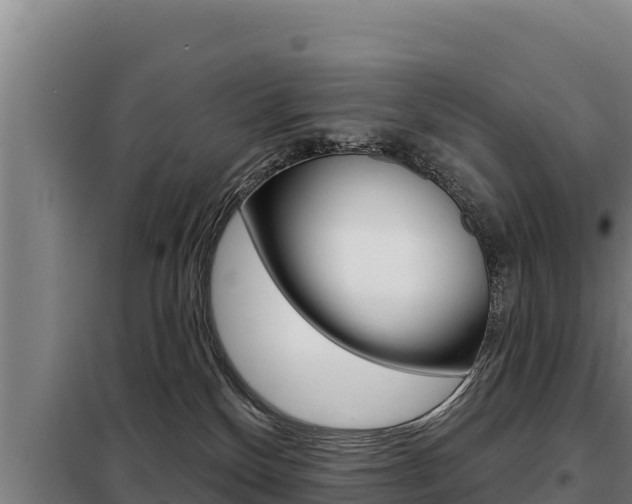 X0000098080136200804040800