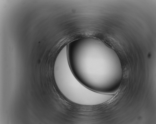 X0000098080140200804040800
