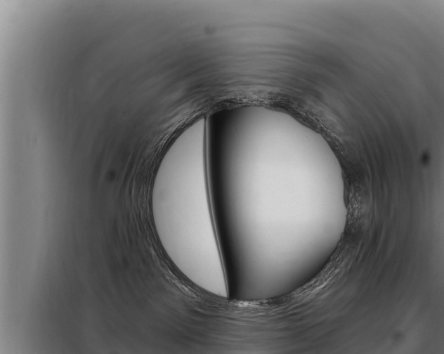 X0000098080141200804040800