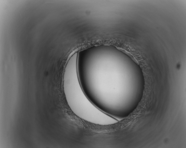 X0000098080144200804040800